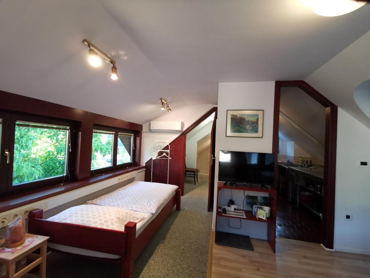 Apartmaji Mak ゴレンスカ地方 エクステリア 写真