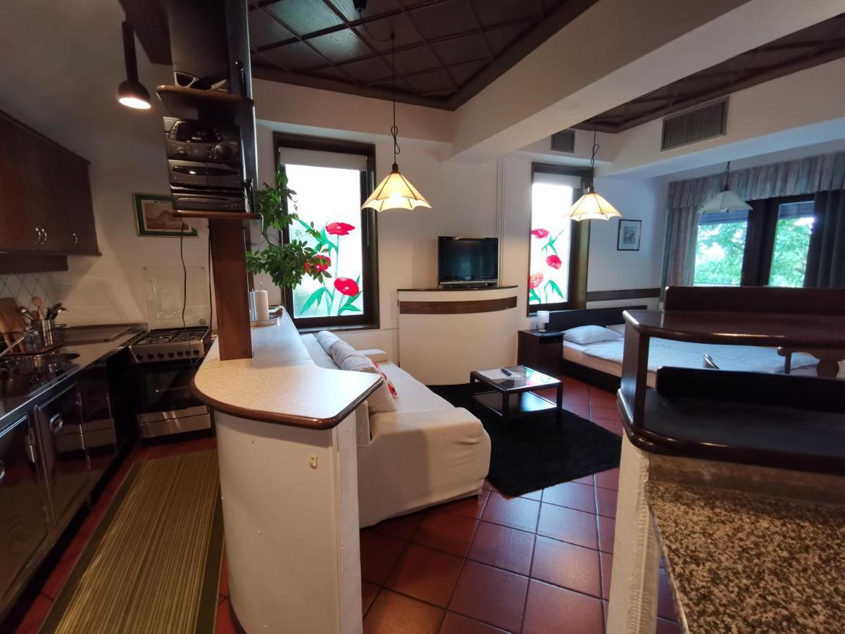 Apartmaji Mak ゴレンスカ地方 エクステリア 写真